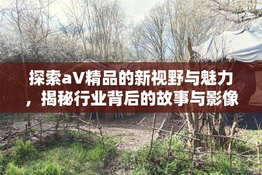 探索aV精品的新视野与魅力，揭秘行业背后的故事与影像之美