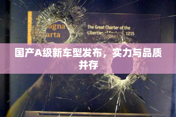 国产A级新车型发布，实力与品质并存