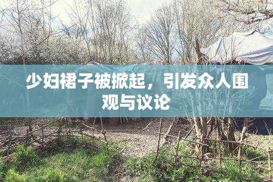 少妇裙子被掀起，引发众人围观与议论