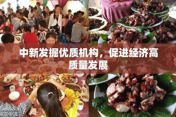 中新发掘优质机构，促进经济高质量发展