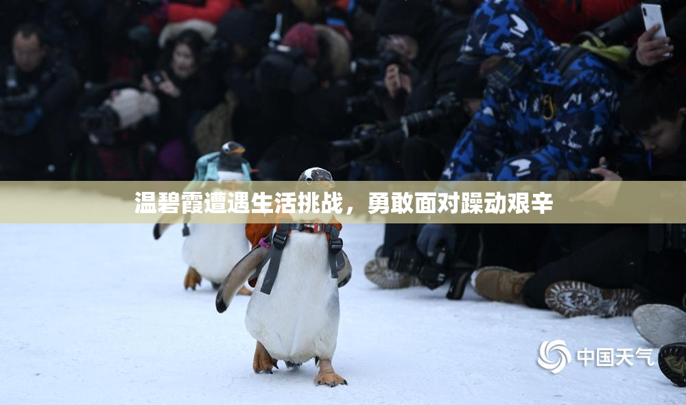温碧霞遭遇生活挑战，勇敢面对躁动艰辛