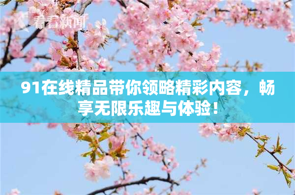 91在线精品带你领略精彩内容，畅享无限乐趣与体验！