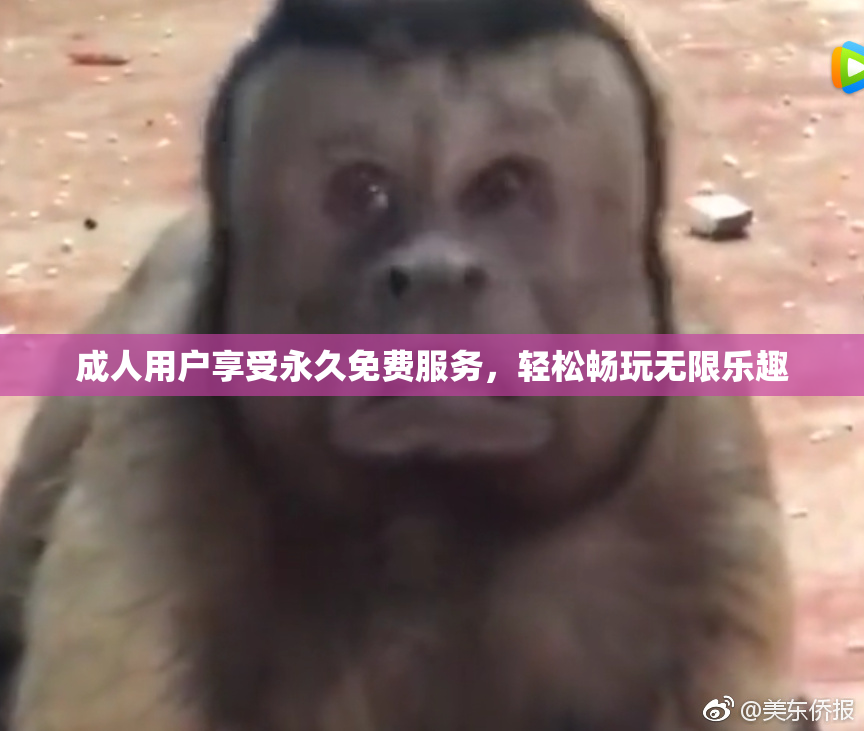 成人用户享受永久免费服务，轻松畅玩无限乐趣