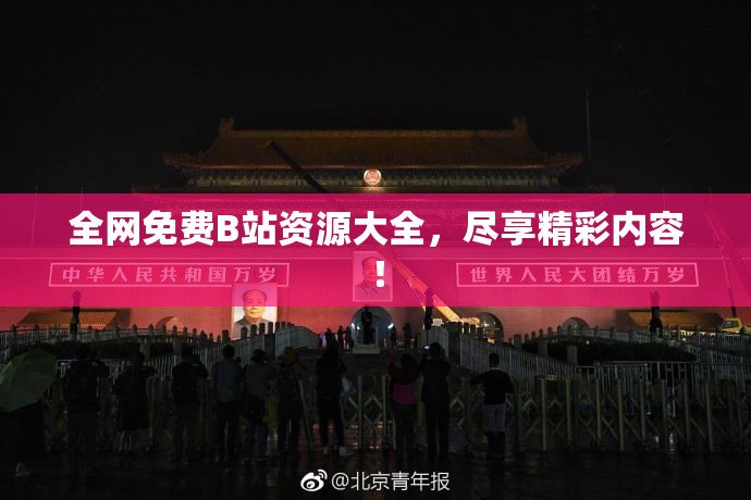 全网免费B站资源大全，尽享精彩内容！