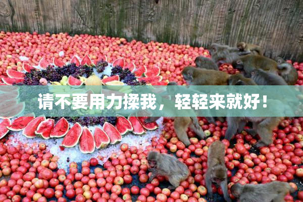 请不要用力揉我，轻轻来就好！