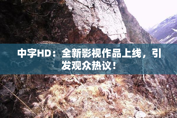 中字HD：全新影视作品上线，引发观众热议！
