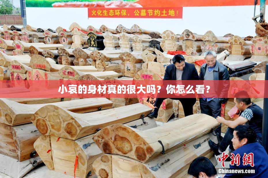 小哀的身材真的很大吗？你怎么看？