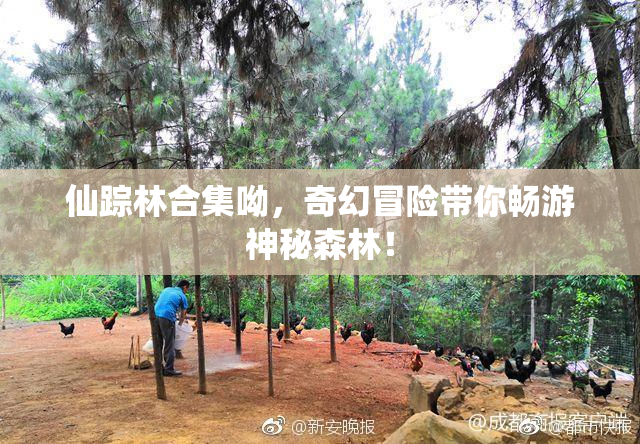 仙踪林合集呦，奇幻冒险带你畅游神秘森林！