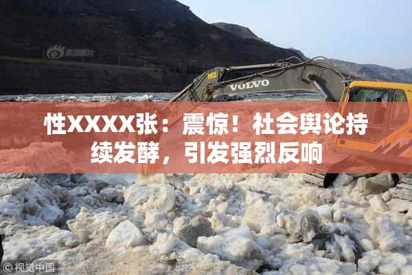 性XXXX张：震惊！社会舆论持续发酵，引发强烈反响