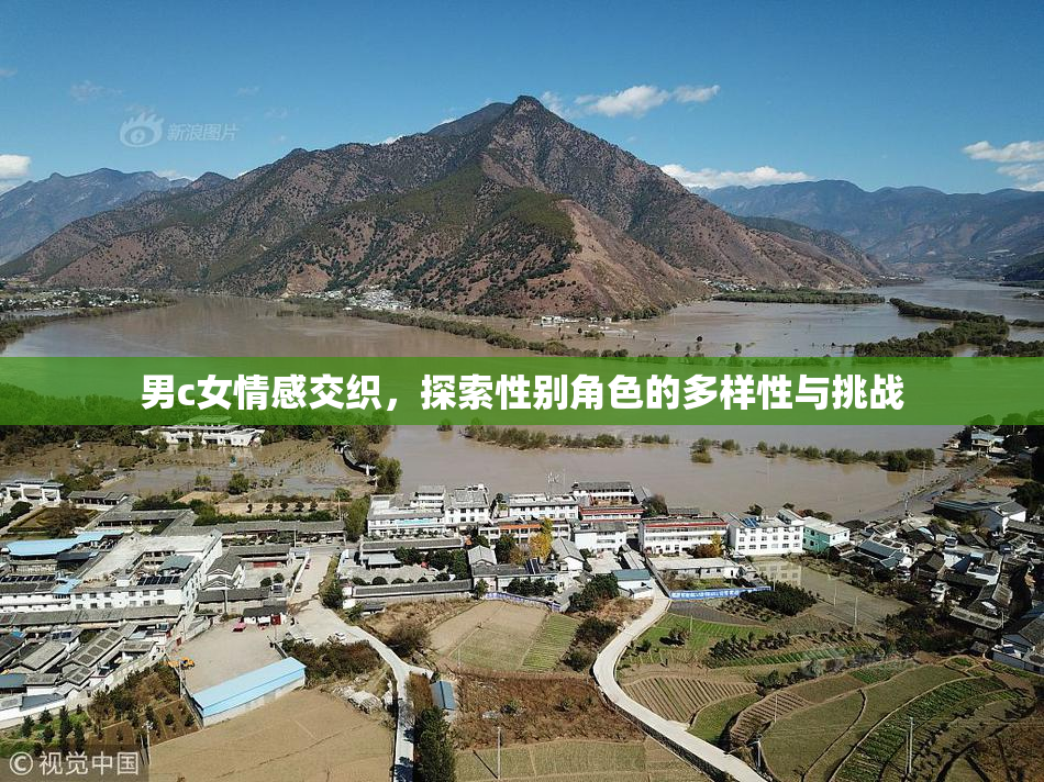 男c女情感交织，探索性别角色的多样性与挑战