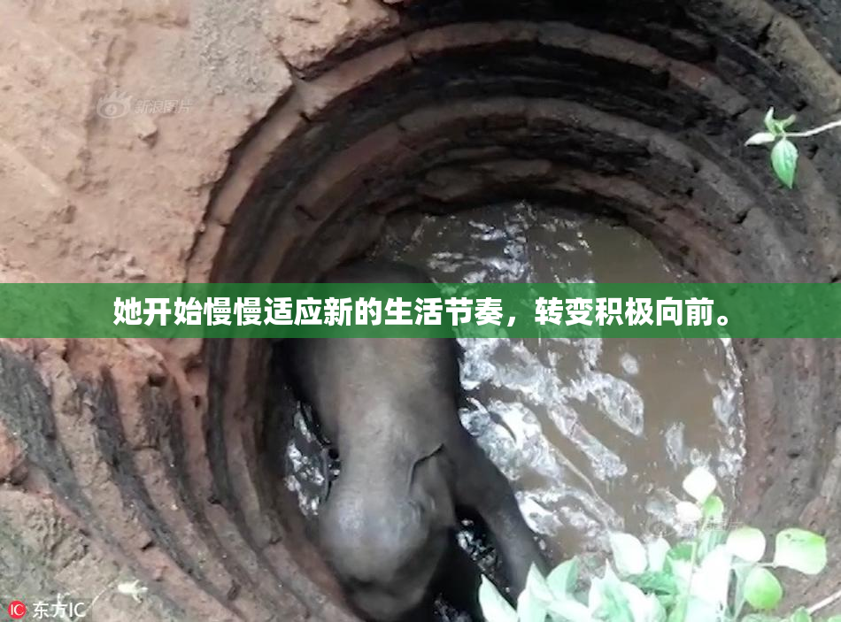她开始慢慢适应新的生活节奏，转变积极向前。