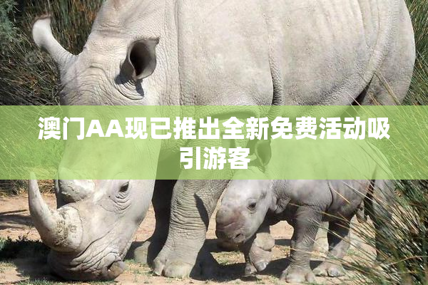 澳门AA现已推出全新免费活动吸引游客
