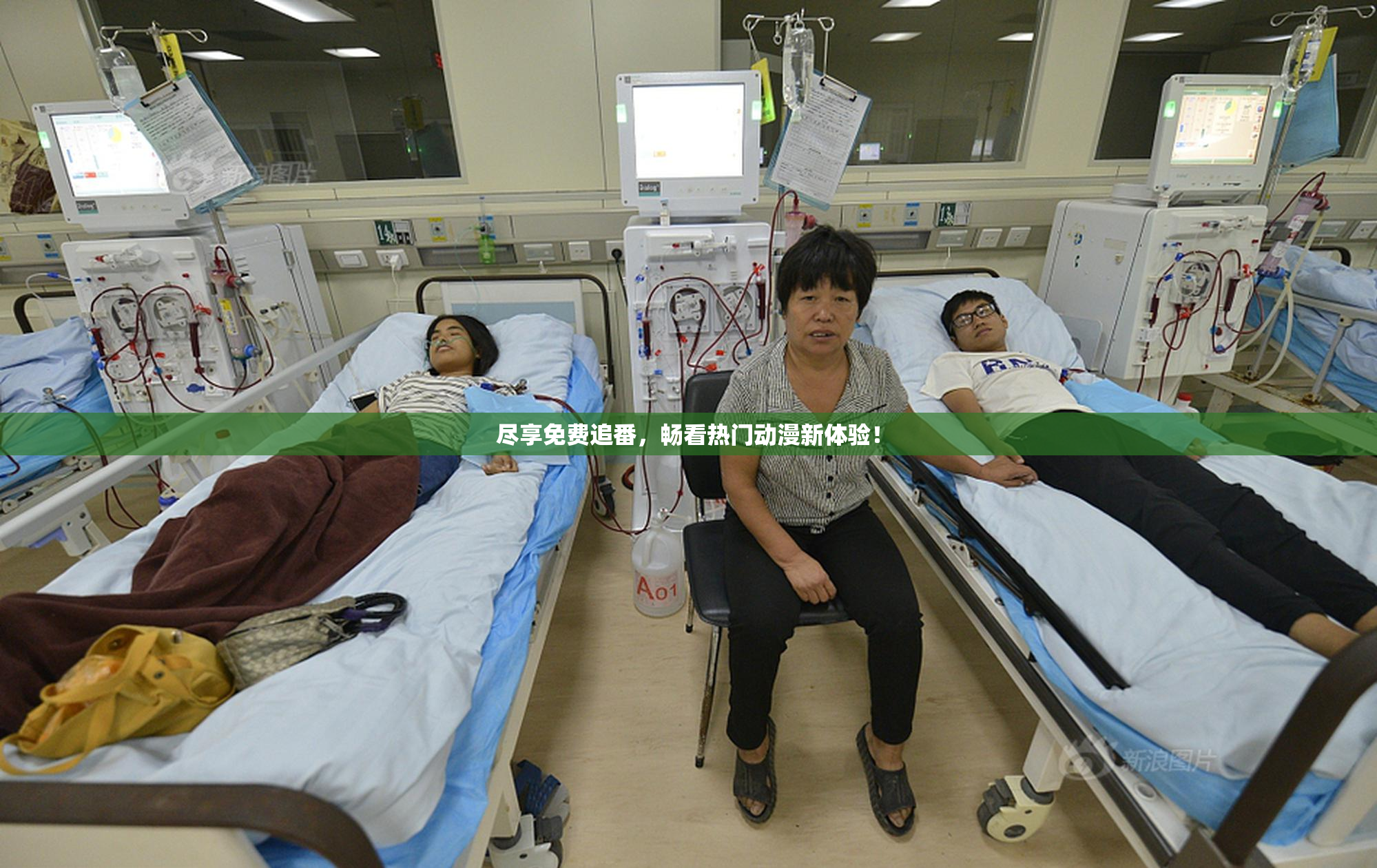 尽享免费追番，畅看热门动漫新体验！