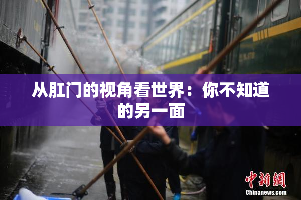 从肛门的视角看世界：你不知道的另一面