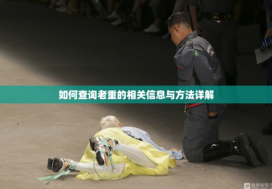 如何查询老重的相关信息与方法详解