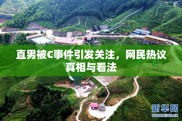 直男被C事件引发关注，网民热议真相与看法