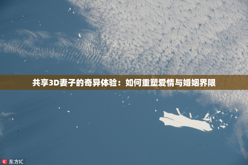 共享3D妻子的奇异体验：如何重塑爱情与婚姻界限
