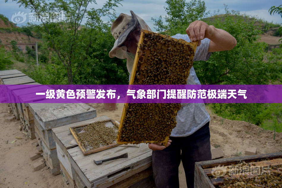 一级黄色预警发布，气象部门提醒防范极端天气