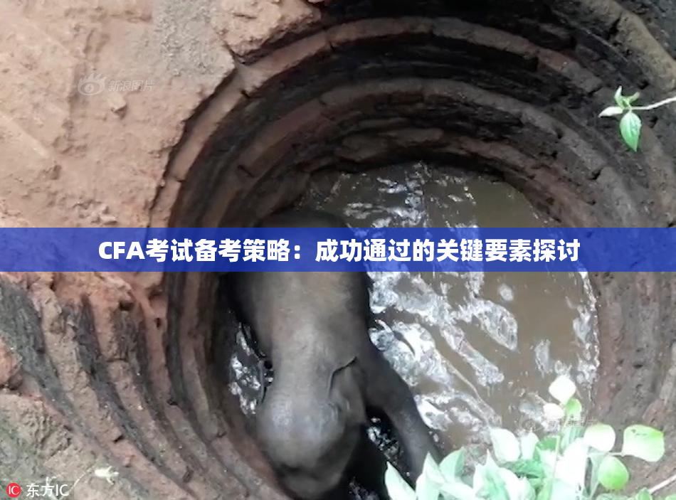 CFA考试备考策略：成功通过的关键要素探讨