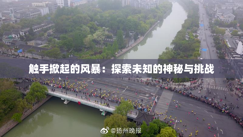 触手掀起的风暴：探索未知的神秘与挑战