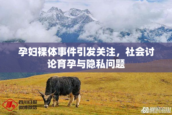 孕妇裸体事件引发关注，社会讨论育孕与隐私问题