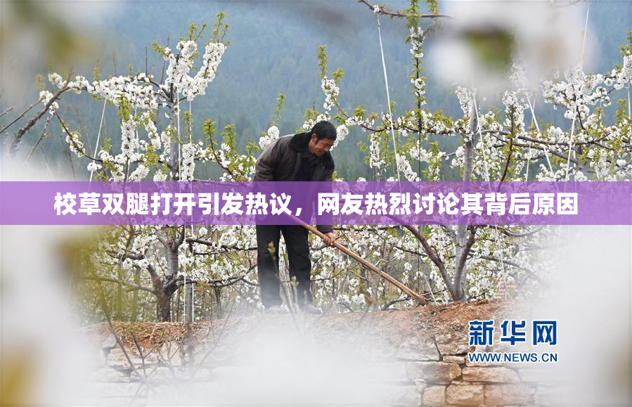 校草双腿打开引发热议，网友热烈讨论其背后原因