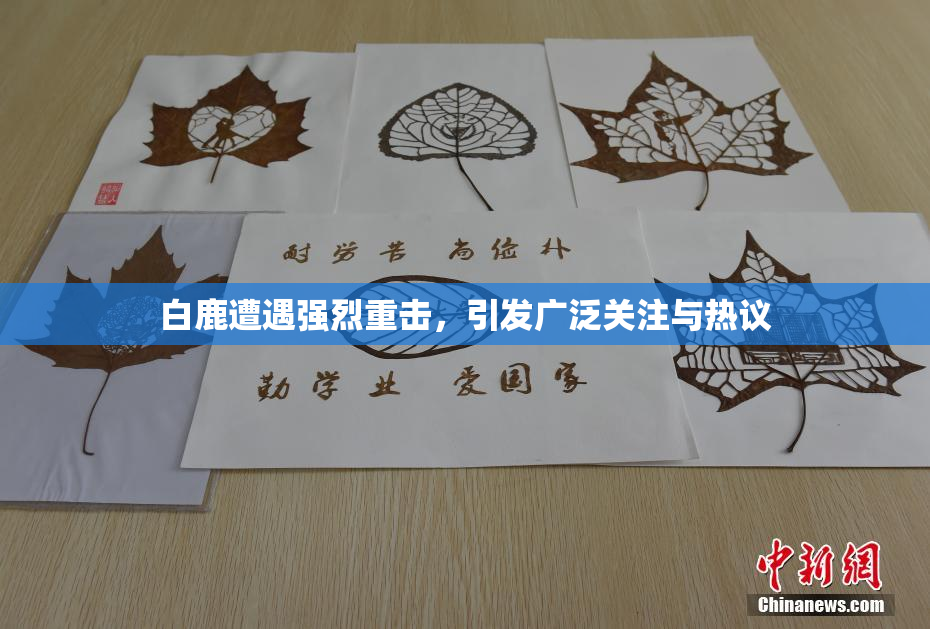 白鹿遭遇强烈重击，引发广泛关注与热议
