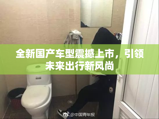 全新国产车型震撼上市，引领未来出行新风尚