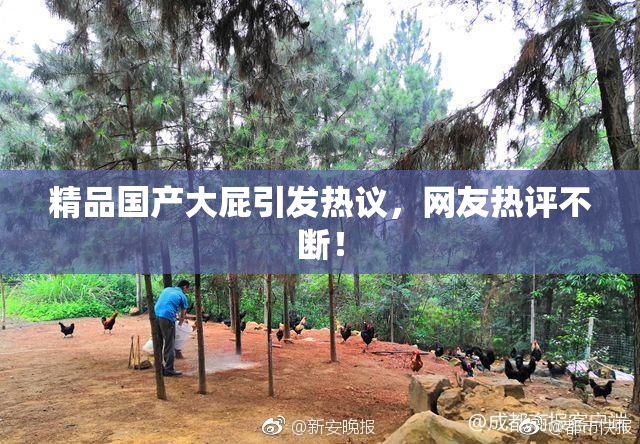 精品国产大屁引发热议，网友热评不断！