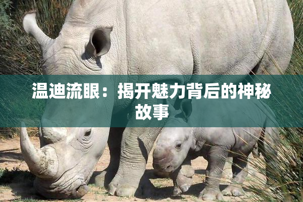 温迪流眼：揭开魅力背后的神秘故事