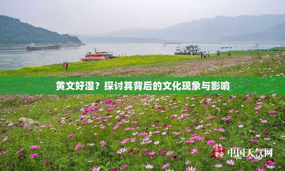 黄文好湿？探讨其背后的文化现象与影响