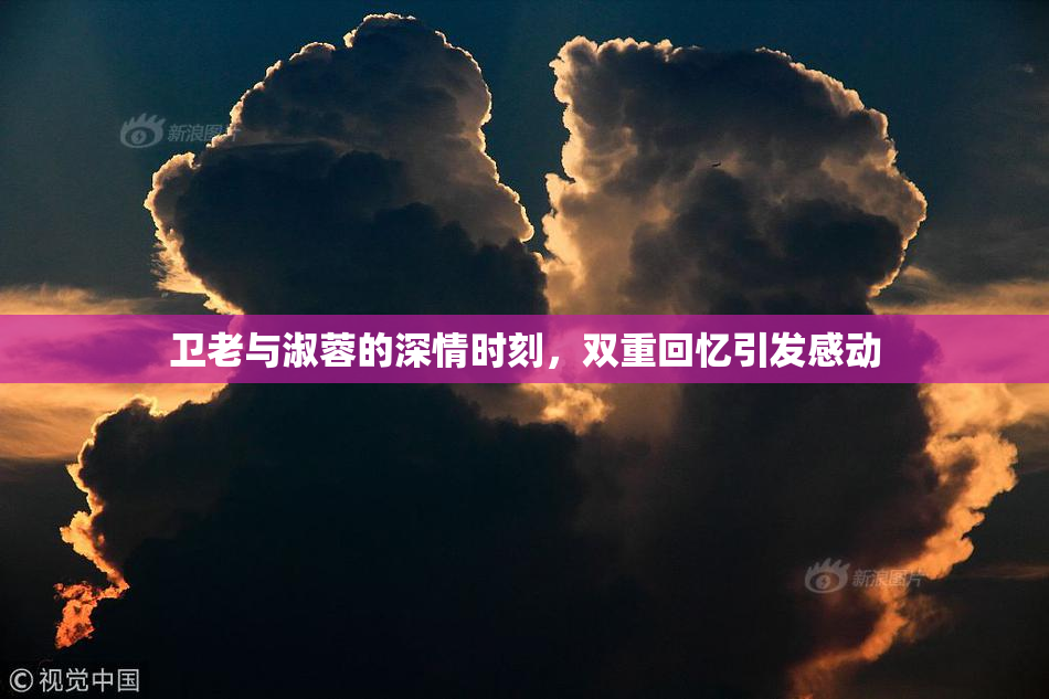 卫老与淑蓉的深情时刻，双重回忆引发感动