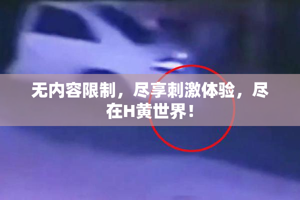 无内容限制，尽享刺激体验，尽在H黄世界！