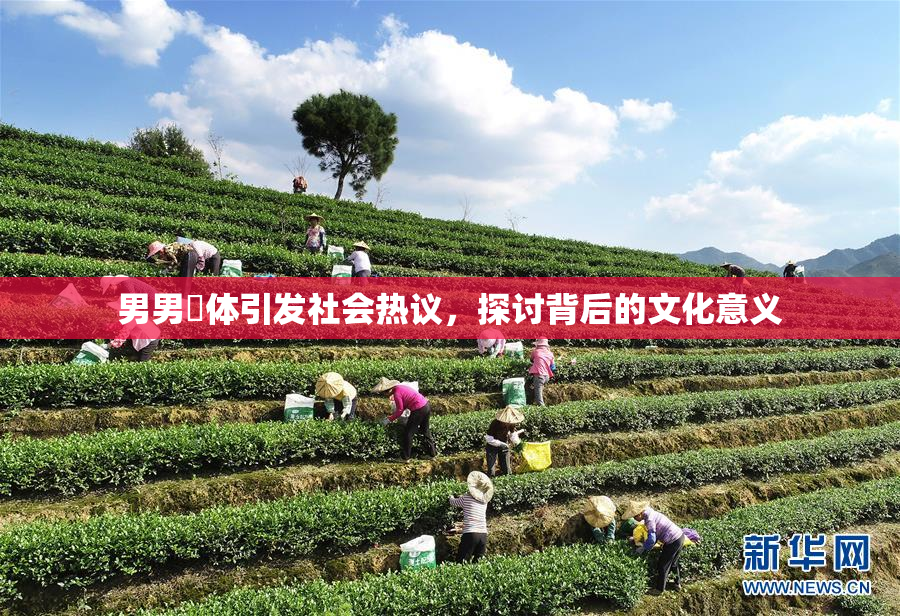 男男祼体引发社会热议，探讨背后的文化意义