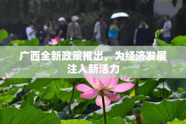 广西全新政策推出，为经济发展注入新活力