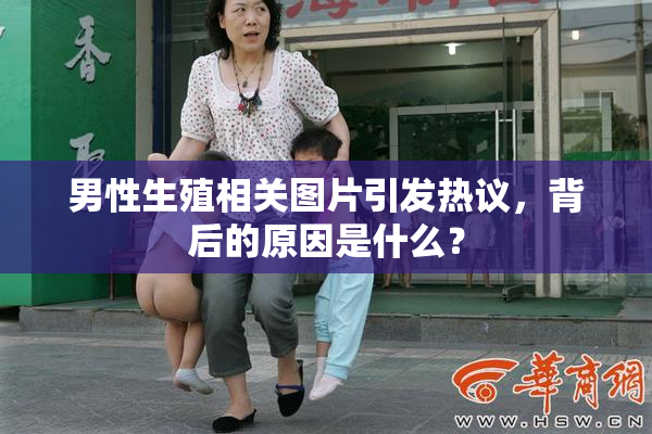 男性生殖相关图片引发热议，背后的原因是什么？