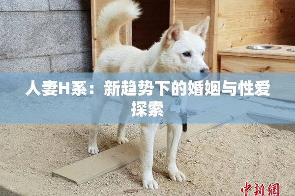 人妻H系：新趋势下的婚姻与性爱探索
