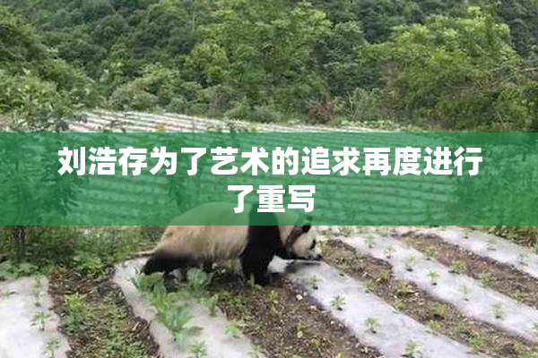 刘浩存为了艺术的追求再度进行了重写
