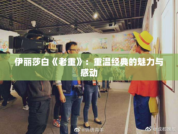 伊丽莎白《老重》：重温经典的魅力与感动