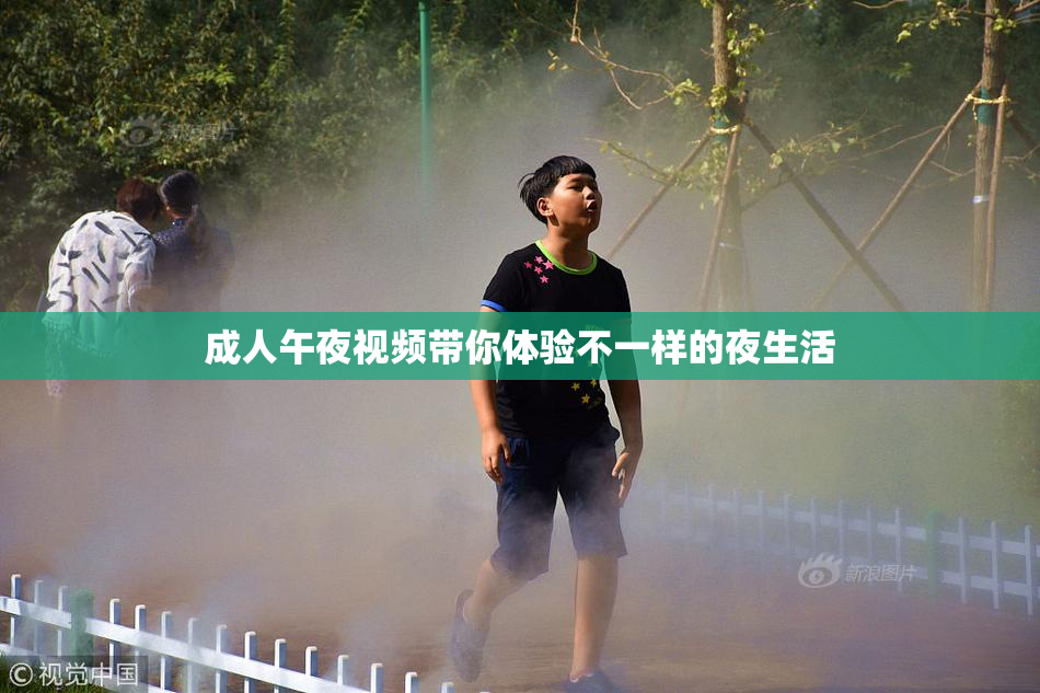 成人午夜视频带你体验不一样的夜生活