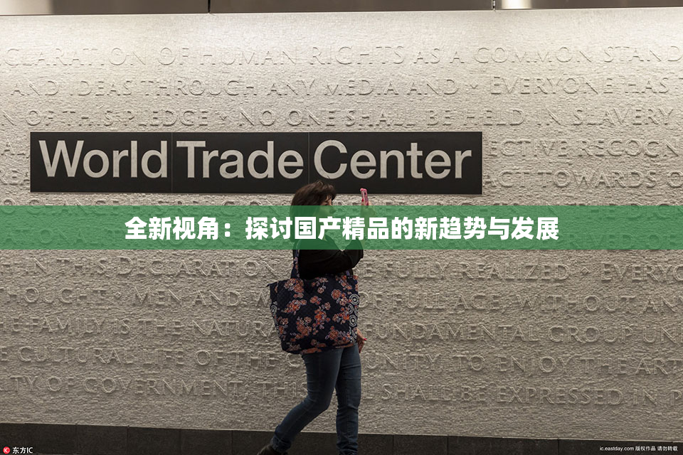全新视角：探讨国产精品的新趋势与发展