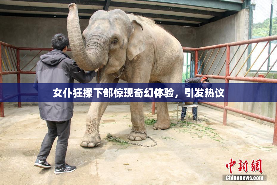 女仆狂揉下部惊现奇幻体验，引发热议