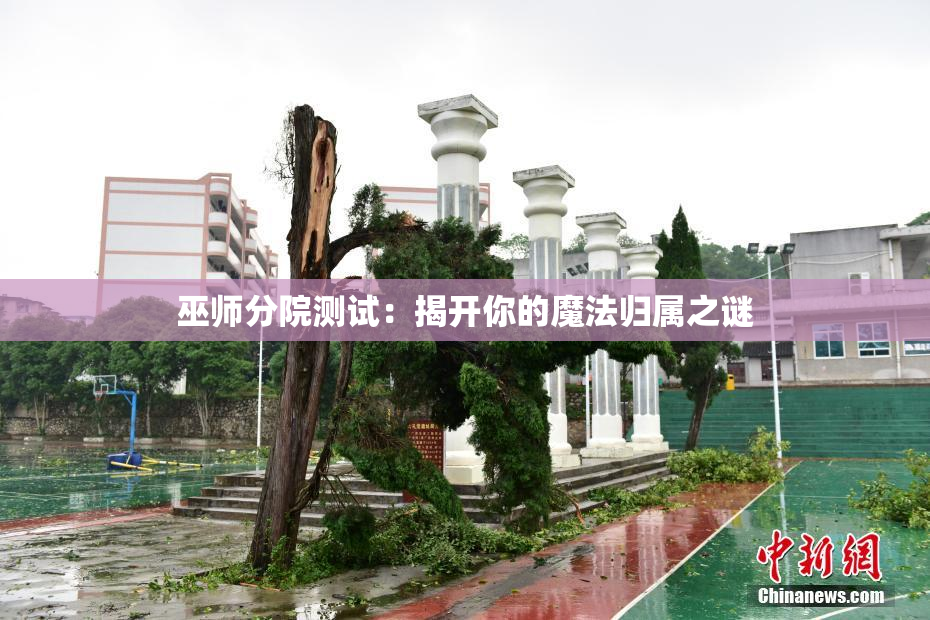 巫师分院测试：揭开你的魔法归属之谜