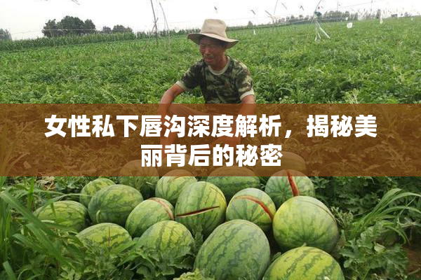 女性私下唇沟深度解析，揭秘美丽背后的秘密