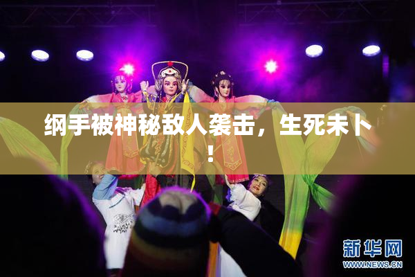 纲手被神秘敌人袭击，生死未卜！