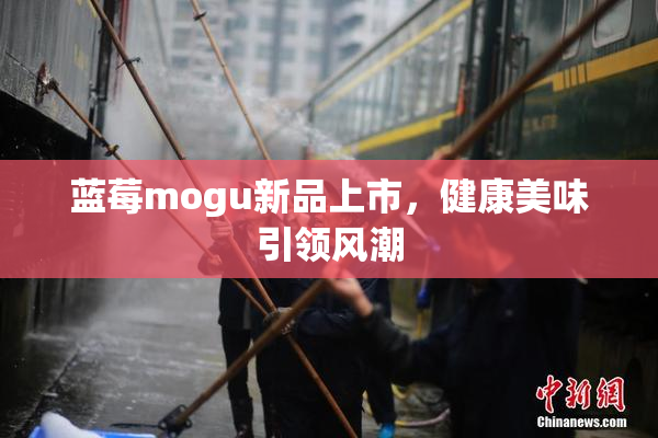 蓝莓mogu新品上市，健康美味引领风潮