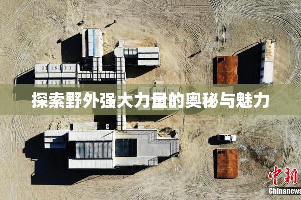 探索野外强大力量的奥秘与魅力