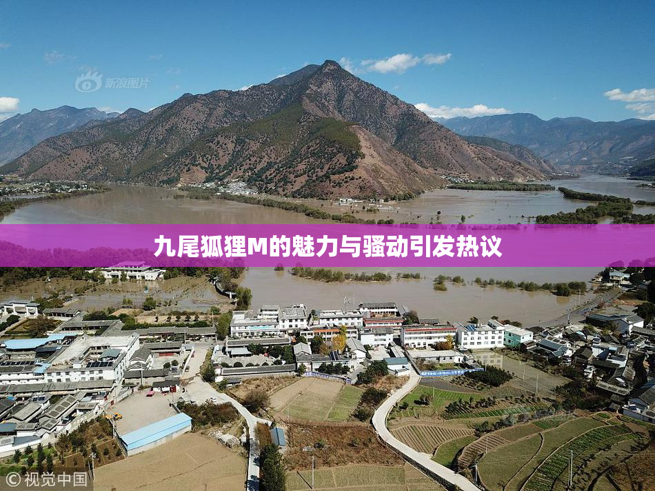 九尾狐狸M的魅力与骚动引发热议