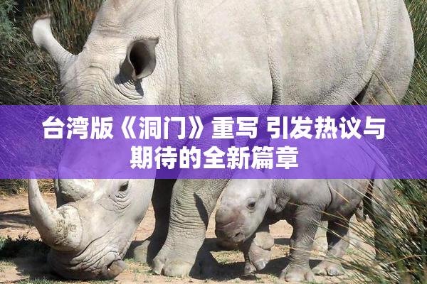 台湾版《洞门》重写 引发热议与期待的全新篇章