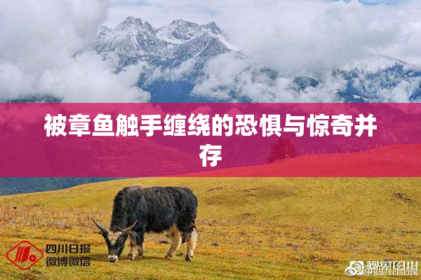 被章鱼触手缠绕的恐惧与惊奇并存